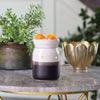 Ivory & Iron Midsize illumination fragrance warmer