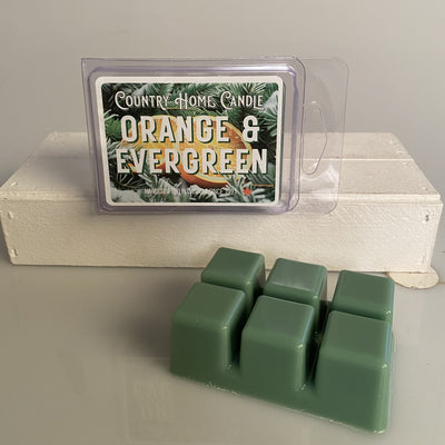 Orange & Evergreen
