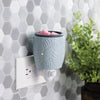 Flip dish pluggable fragrance warmer - ocean palm