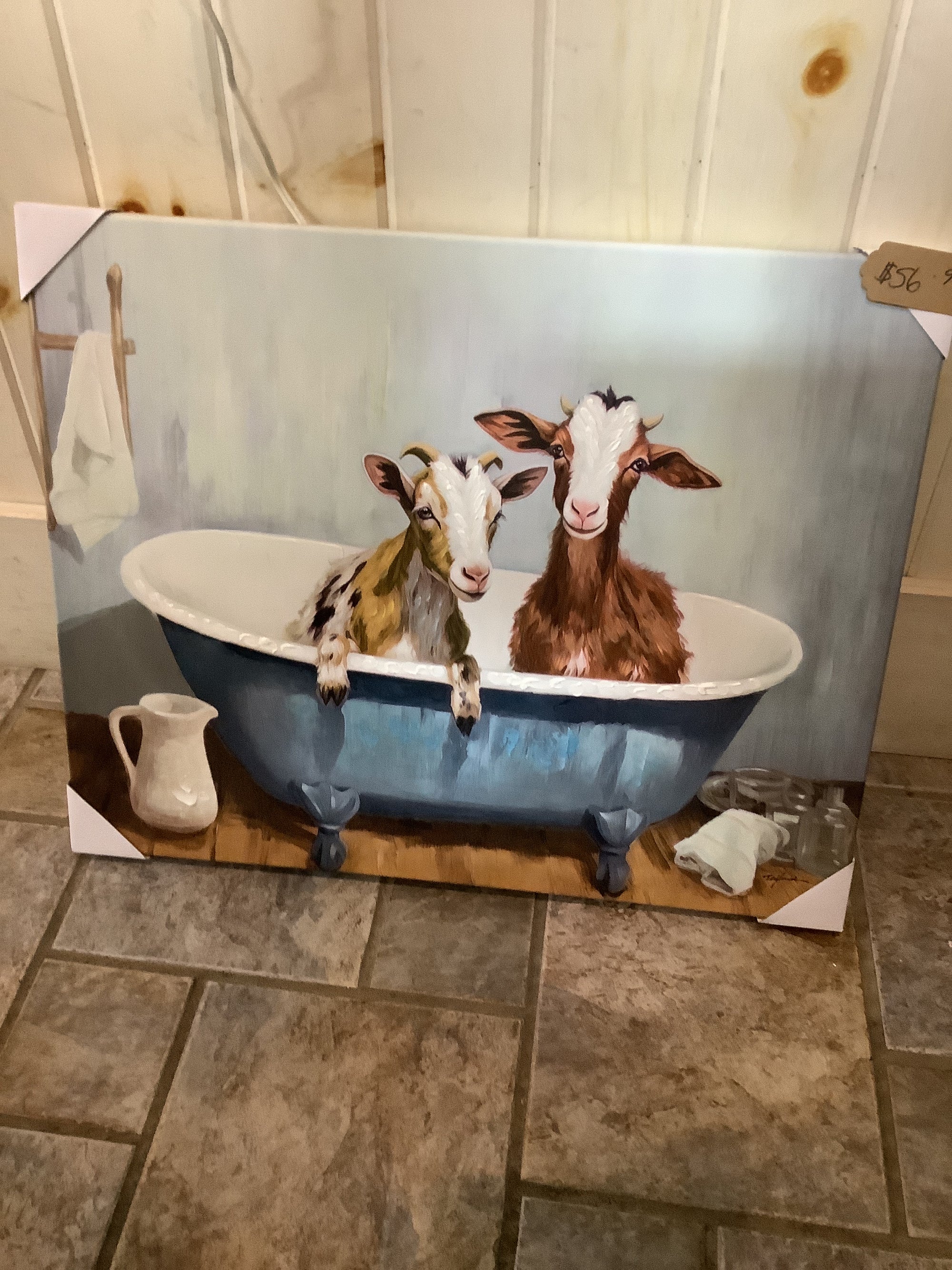 Bathtub Goats 1 Print