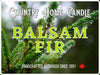 Balsam Fir