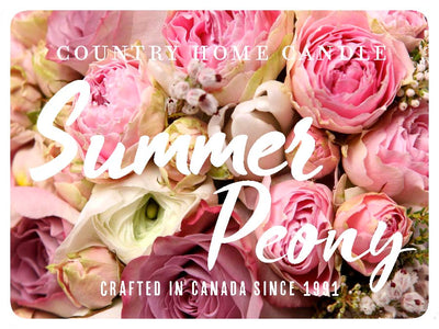 Summer Peony