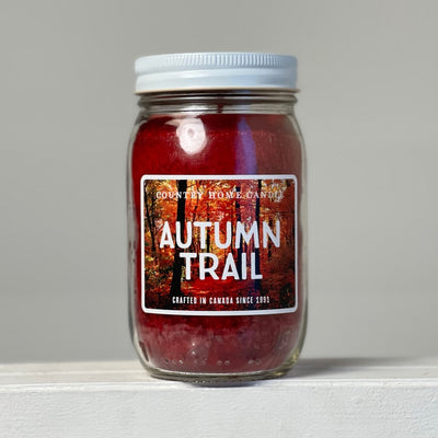 Autumn Trail