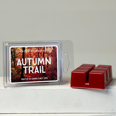 Autumn Trail